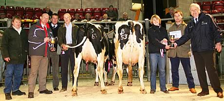 Craven Dairy Auction Christmas champion