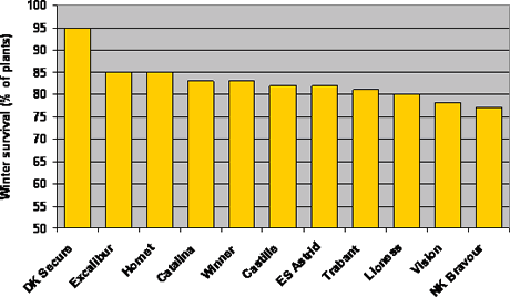 Winter hardiness of all UK OSR varieties