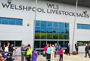 Welshpool Livestock Sales