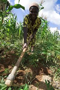 women and girls to agricultural production