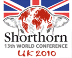 Beef Shorthorn