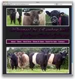 Whitepool & Rainbow Belted Galloways