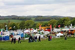 Scotgrass 2010