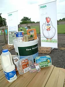 Mill Farm sheep pens