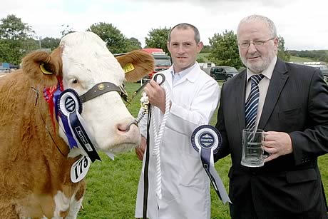 Trevor Johnston, agribusiness manager, Northern Bank, Enniskillen, presents the Simmental Female of the Year award to Ashland Lady Diamond third, shown by Tempo exhibitor, Frank Kelly.