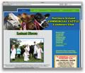 Northern Ireland Commercial Cattle Exhibitors’ Club