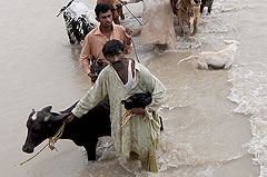 Pakistan floods