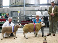 Skipton Beltex supreme champion