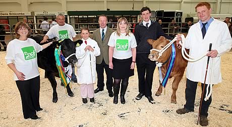 Beef South West