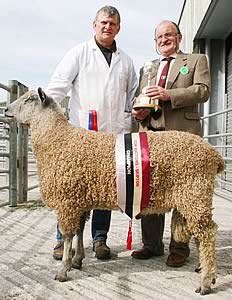 Wensleydale supreme champion