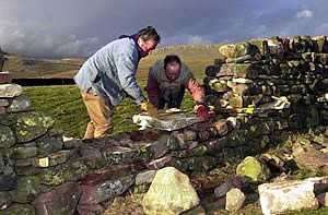 Dry stone walling