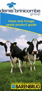 Brin-SEED brochure