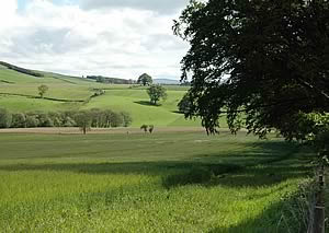 Farmland