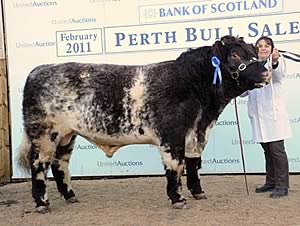 Meonhill Highland Centurion
