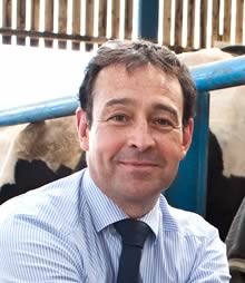 Wyn Morris