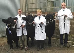 Belties