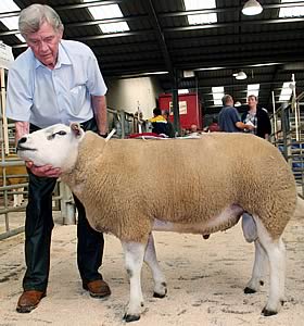 Skipton Texel
