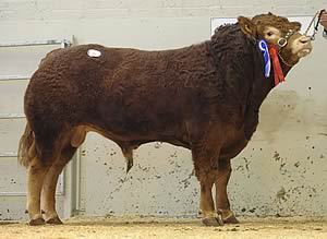 Albian Fieldsman