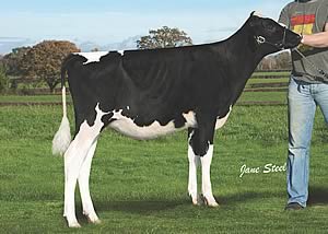 Glasson Aftershock G Glora