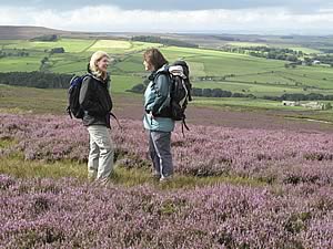 Walkers enjoying the North Pennines AONB