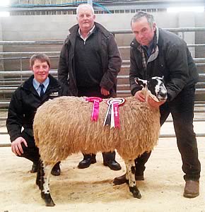 CCM Addingham Sheepbreeders Charity Show