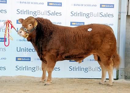Redpaths General - 8,000gns.