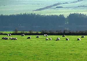 Pembrokeshire