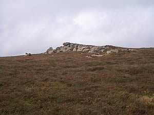 moorland