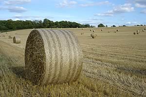 bales