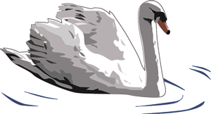 swan