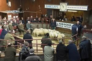 Longtown sheep ring