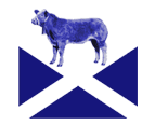 Caledonian Marts 