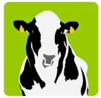 dairy daughters