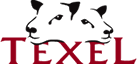 Texel