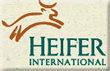heifer international