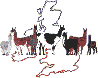 british llama and alpaca