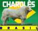 Charoles