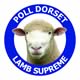 australian poll dorset