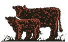 german galloway