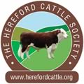 hereford cattle society