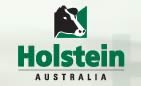 Holstein Australia