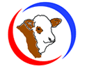 british simmental cattle society